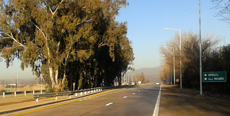 Estado de las Rutas en Mendoza