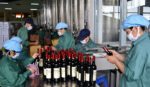 Retenciones al vino, el Gobierno de Mendoza solicita a Milei eximir a la exportación de esa bebida