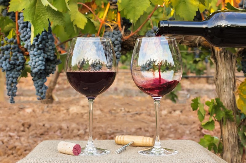 Retenciones al vino Mendoza, el PJ presentó un proyecto de rechazo a la medida