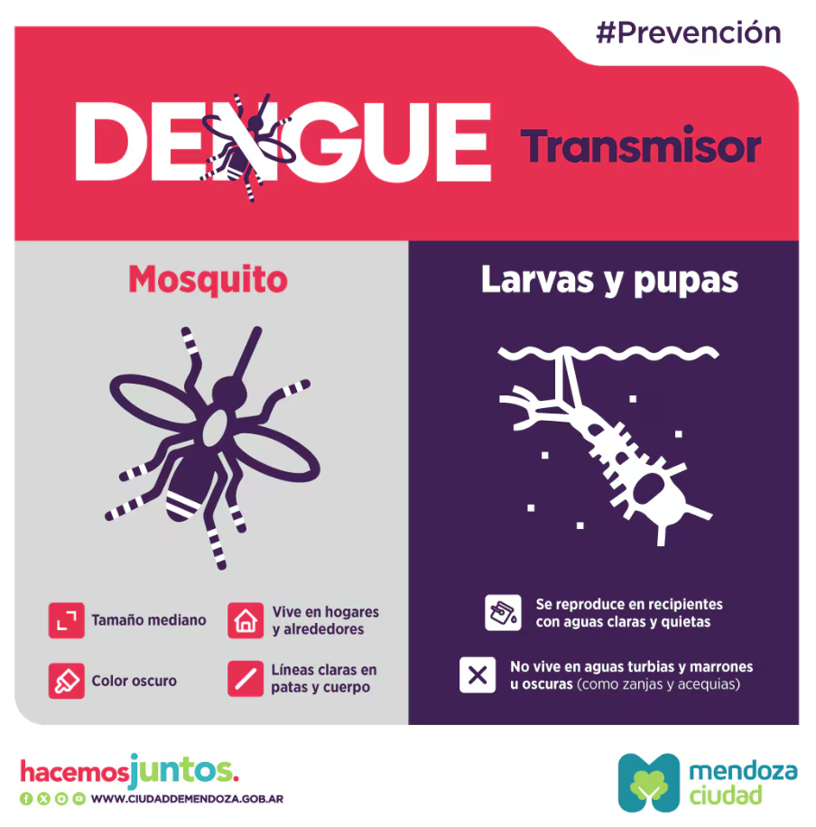 dengue en Mendoza