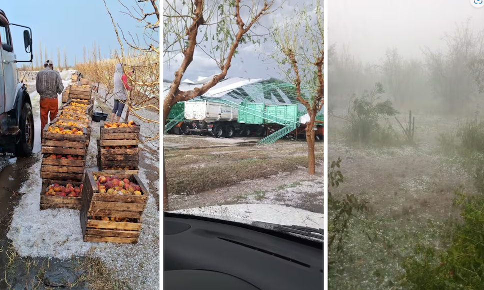 emergencia Agropecuaria