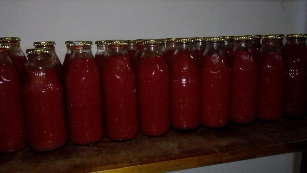 Cómo hacer salsa de tomate casera