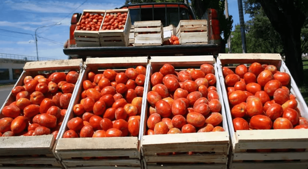 Cómo hacer salsa de tomate casera