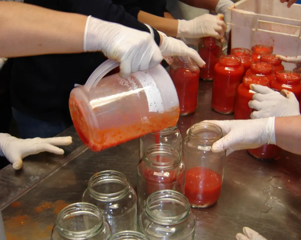 Cómo hacer salsa de tomate casera