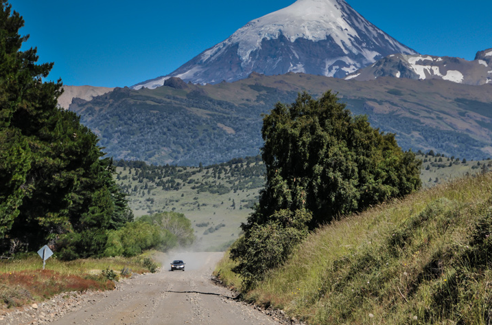 Avistamiento de un huemul