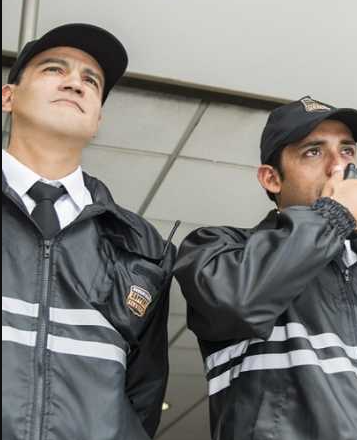 Vigiladores de Seguridad podrán usar pistolas Taser