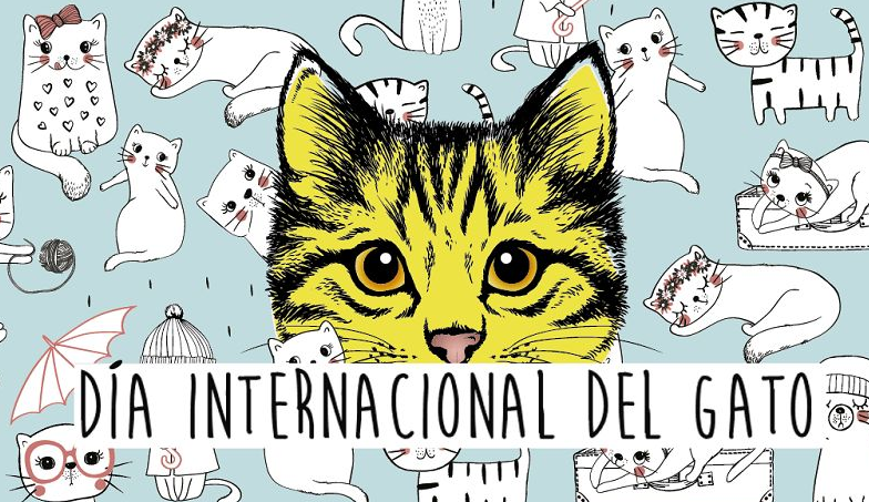 Día del Gato