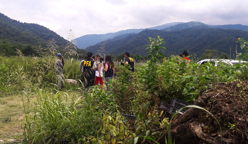 Siete personas fueron rescatadas de una finca