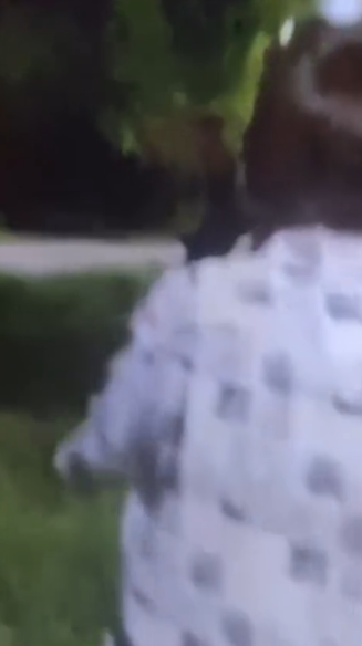 DOS CHICOS FUERON ATACADOS A BOTELLAZOS