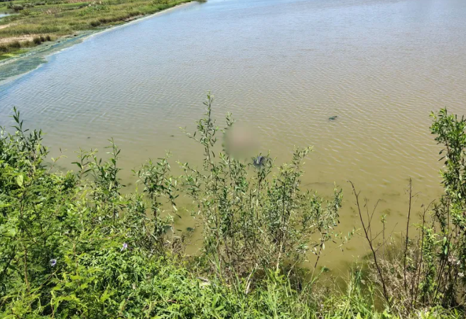 Hallazgo del cuerpo de una mujer en Junín