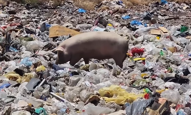 basural clandestino en Mendoza