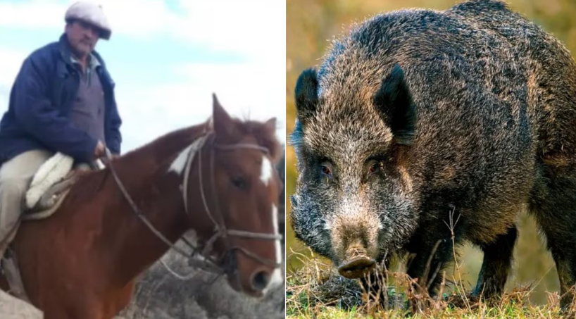 Un jabalí mató a un hombre