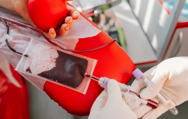colecta de sangre de la Cruz Roja
