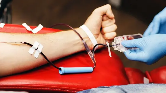 colecta de sangre de la Cruz Roja