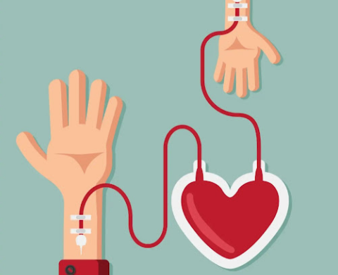 colecta de sangre de la Cruz Roja