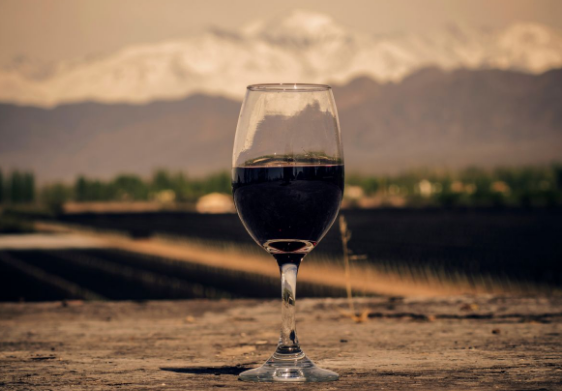 Vieja Mendoza vino